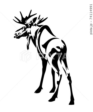 standing moose bull black and white vector outline 74114991