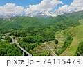 初夏の栂池高原 74115479