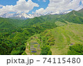 初夏の栂池高原 74115480