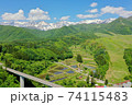 初夏の栂池高原 74115483
