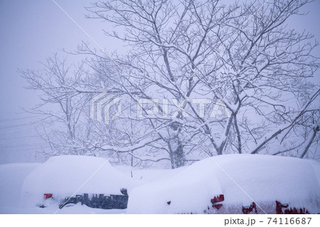 雪に埋もれる車 74116687