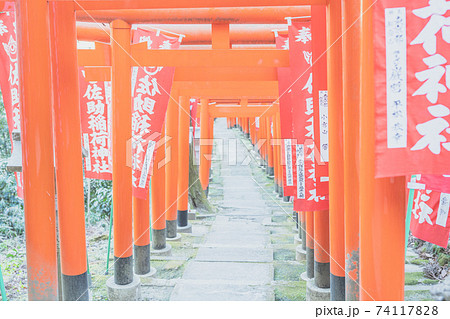 神奈川 佐助稲荷神社の鳥居 鎌倉の写真素材