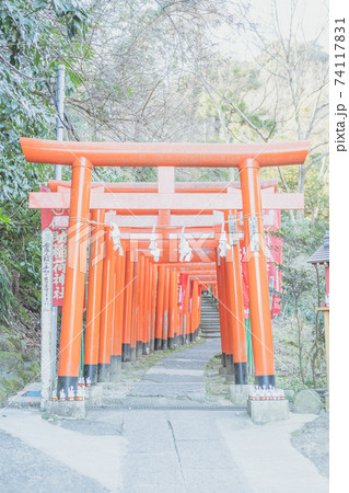 神奈川 佐助稲荷神社の鳥居 鎌倉の写真素材