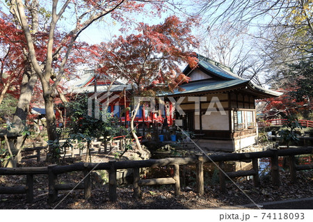 東京都三鷹市の井の頭弁財天の風景 東京都三鷹市の井の頭弁財天の風景 74118093
