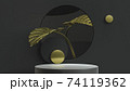 Gold monstera leaves and product stand minimal scene. 3D Illustration. Front view. Abstract geometry black key lighting. 74119362