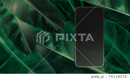 Smartphone template with blank screen. 3D Illustration. Front view mockup. Abstract minimal scene for application presentation on falling leaves background. 74119370