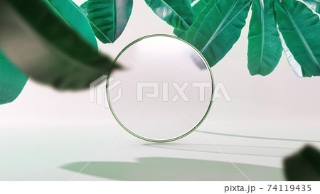 Matte glass circle with golden frame and falling leaves 3D Illustration. Front view. Isolated on white background. Abstract minimal scene. 74119435
