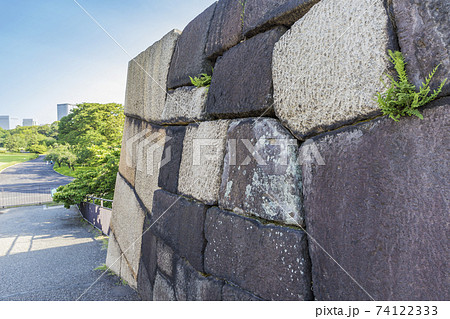 天守閣跡　江戸城天守跡　本丸　御殿　石積　石垣 74122333
