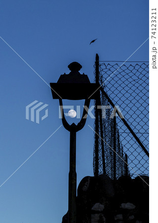 Moon inside a street lamp. Moon inside a street lamp. 74123211