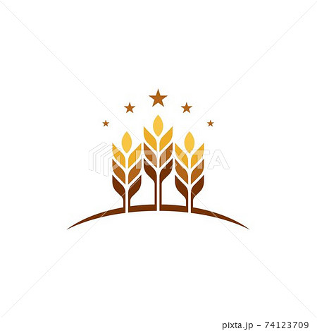 Agriculture wheat vector Agriculture wheat vector 74123709