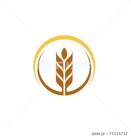 Agriculture wheat vector 74123712