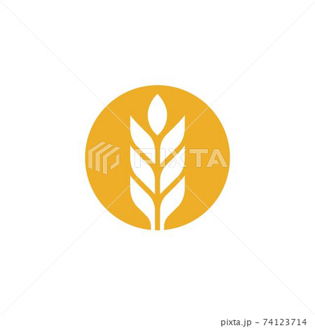 Agriculture wheat vector Agriculture wheat vector 74123714