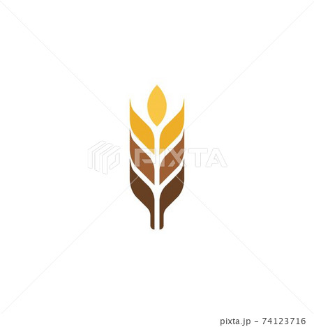 Agriculture wheat vector Agriculture wheat vector 74123716