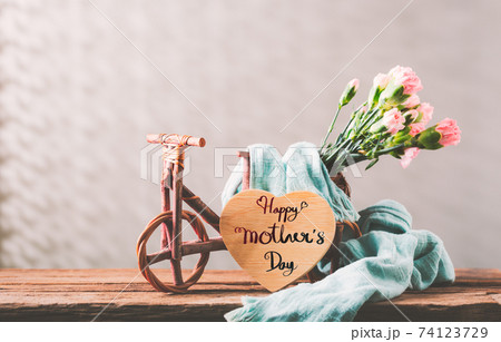 Still life with sweet carnation flowers Still life with sweet carnation flowers 74123729