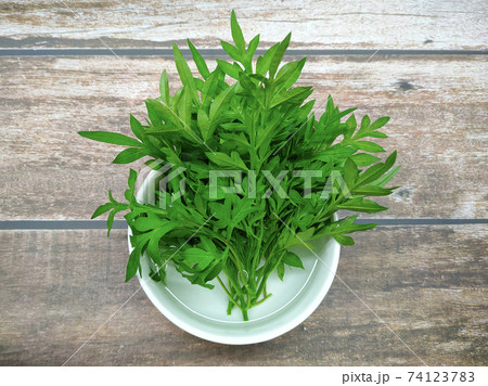 Cosmos caudatus leaves that have been cut and soaked in a bowl of water. It is to maintain the freshness of the leaves before eating. Cosmos caudatus leaves that have been cut and soaked in a bowl of water. It is to maintain the freshness of the leaves before eating. 74123783