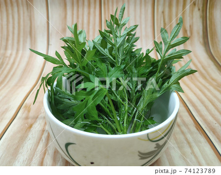 Cosmos caudatus leaves that have been cut and soaked in a bowl of water. It is to maintain the freshness of the leaves before eating. Cosmos caudatus leaves that have been cut and soaked in a bowl of water. It is to maintain the freshness of the leaves before eating. 74123789