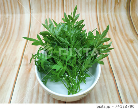 Cosmos caudatus leaves that have been cut and soaked in a bowl of water. It is to maintain the freshness of the leaves before eating. Cosmos caudatus leaves that have been cut and soaked in a bowl of water. It is to maintain the freshness of the leaves before eating. 74123790