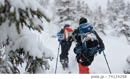 バックカントリーでの樹林帯のハイクアップ バックカントリーでの樹林帯のハイクアップ 74124298