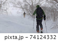 雪のブナ林をハイクアップする雪山登山パーティ 74124332
