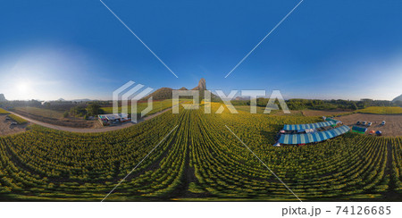 360 panorama by 180 degrees angle seamless panorama of aerial view of full bloom sunflower field with mountain in travel holidays vacation trip at natural garden park in summer in Lopburi, Thailand. 360 panorama by 180 degrees angle seamless panorama of aerial view of full bloom sunflower field with mountain in travel holidays vacation trip at natural garden park in summer in Lopburi, Thailand. 74126685