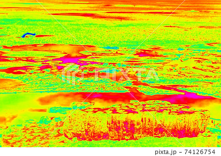 Cold and warmth in landscape, heat from sun rays absorbing. Infrared thermovision image  74126754