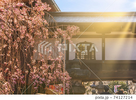 東京 上野 寛永寺の清水観音堂と書院を結ぶ火灯窓か花頭窓を飾る渡り廊下と枝垂桜 の写真素材