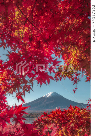 紅葉の富士山 紅葉の富士山 74127552
