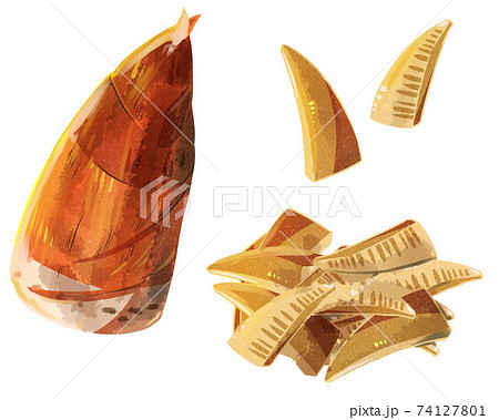 たけのこ　水彩風 74127801