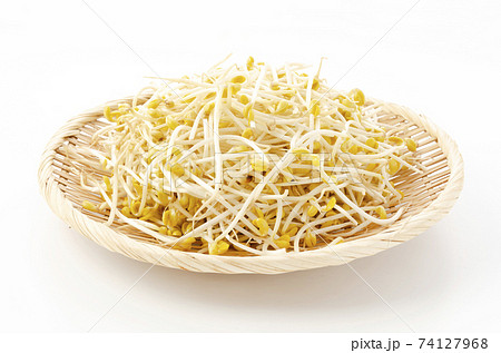 豆モヤシ 豆モヤシ 74127968