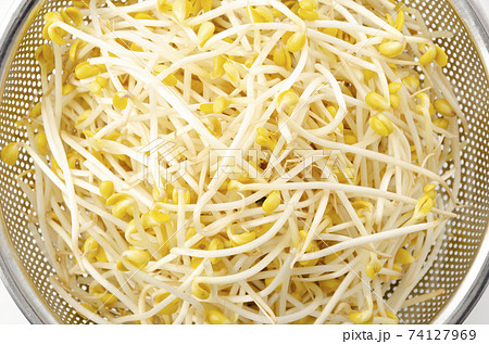 豆モヤシ 74127969