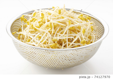 豆モヤシ 74127970