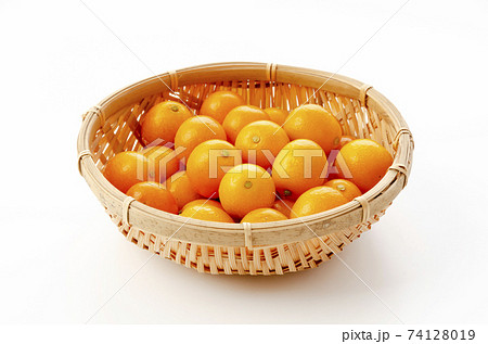 金柑 金柑 74128019