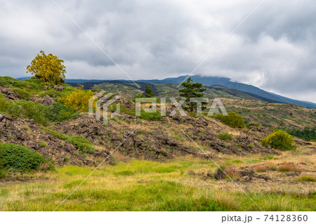 Mount Etna volcanic landscape and its typical summer vegetation Mount Etna volcanic landscape and its typical summer vegetation 74128360