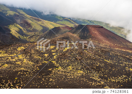 Mount Etna volcanic landscape and its typical vegetation, Sicily 74128361