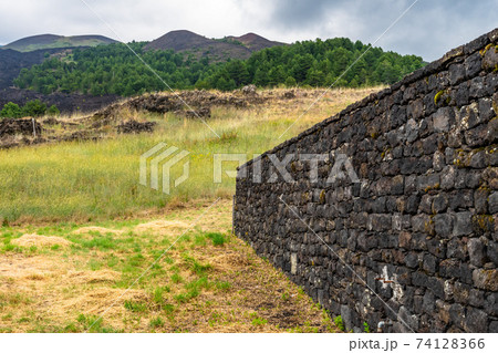 Mount Etna volcanic landscape and its typical summer vegetation Mount Etna volcanic landscape and its typical summer vegetation 74128366