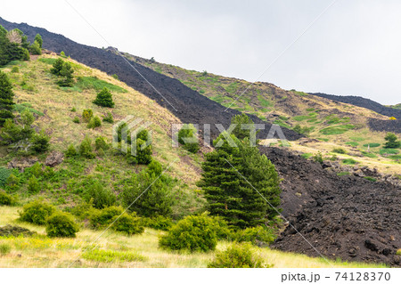 Mount Etna volcanic landscape and its typical summer vegetation Mount Etna volcanic landscape and its typical summer vegetation 74128370