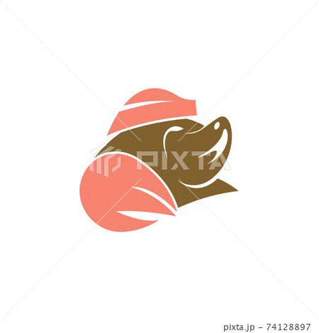 Mole animal logo icon design illustration vector 74128897