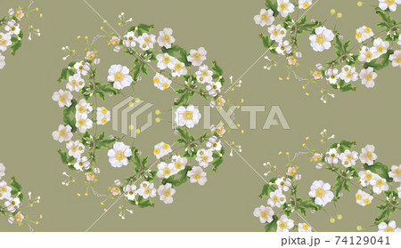 white flowers with a yellow center. bush of white flowers. watercolor white flowers with a yellow center. bush of white flowers. watercolor 74129041