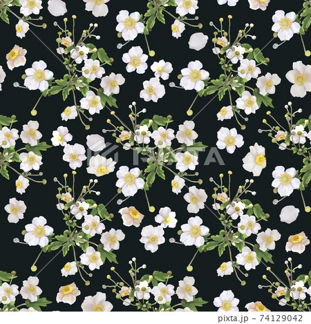white flowers with a yellow center. bush of white flowers. watercolor white flowers with a yellow center. bush of white flowers. watercolor 74129042