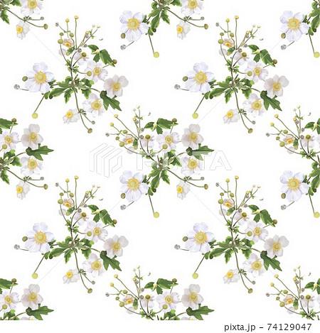 white flowers with a yellow center. bush of white flowers. watercolor illustration white flowers with a yellow center. bush of white flowers. watercolor illustration 74129047