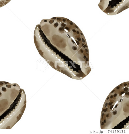 Pattern seashell on background. high quality watercolor illustration. marine design 74129131