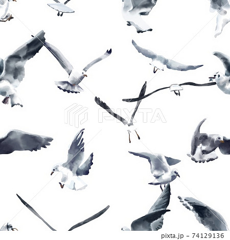 A flock of seagulls flying in the sky 74129136