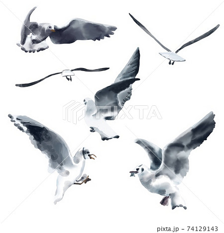 A flock of seagulls flying in the sky. illustration watercolor A flock of seagulls flying in the sky. illustration watercolor 74129143