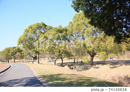 冬の公園 74130638