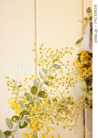 ミモザのリースとミモザ ミモザのリースとミモザ 74130639