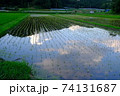 田植え後、水田に映り込む青い空 74131687