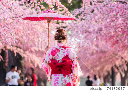 woman in yukata (kimono dress) holding umbrella and looking sakura flower or cherry blossom blooming in garden woman in yukata (kimono dress) holding umbrella and looking sakura flower or cherry blossom blooming in garden 74132057