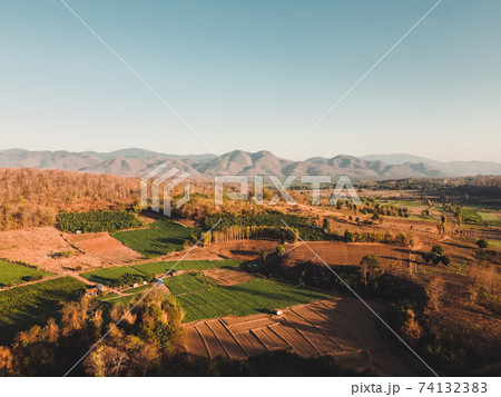 The road and trees in the evening from above,summer travel The road and trees in the evening from above,summer travel 74132383