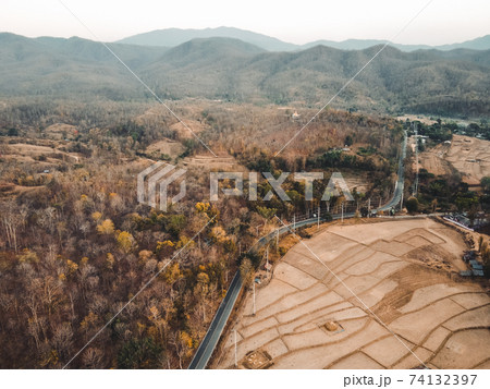 Paddy field after harvest in summer, tropical summer Paddy field after harvest in summer, tropical summer 74132397