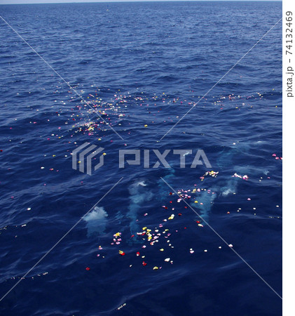 海洋散骨の風景、日本の新しい葬送の様式 74132469